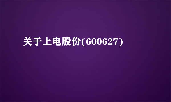 关于上电股份(600627)