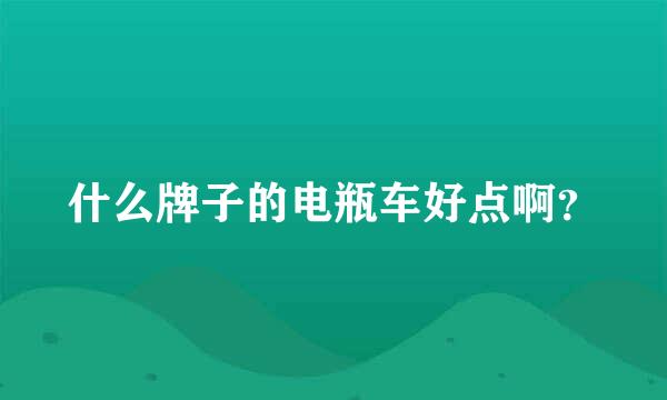 什么牌子的电瓶车好点啊？