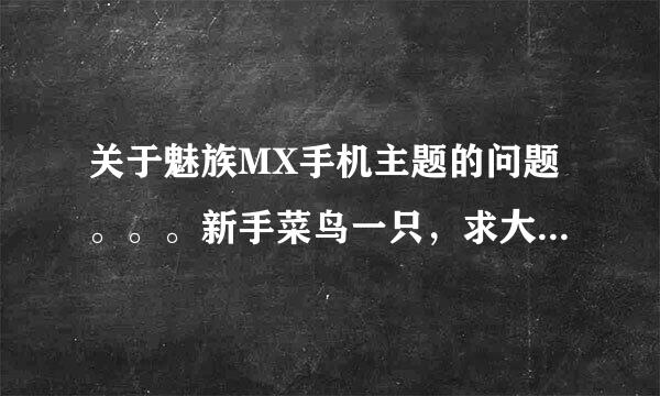 关于魅族MX手机主题的问题。。。新手菜鸟一只，求大虾们帮助解答疑惑。。。