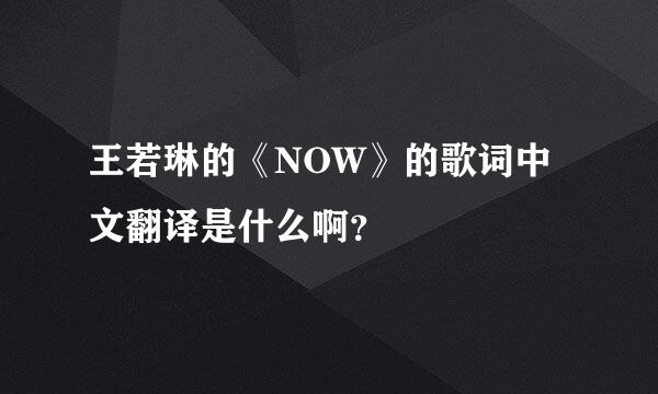 王若琳的《NOW》的歌词中文翻译是什么啊？