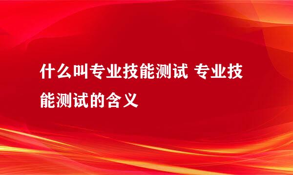 什么叫专业技能测试 专业技能测试的含义