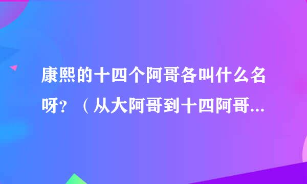 康熙的十四个阿哥各叫什么名呀？（从大阿哥到十四阿哥的名字）