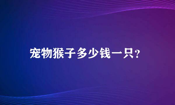 宠物猴子多少钱一只？