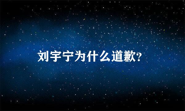 刘宇宁为什么道歉？