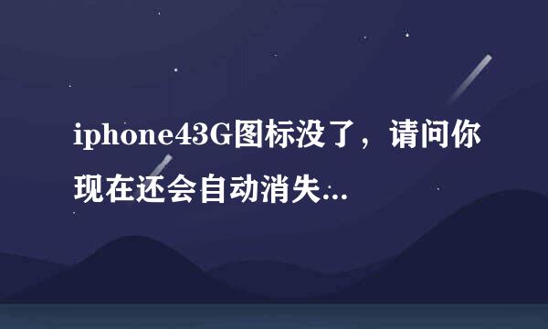 iphone43G图标没了，请问你现在还会自动消失无法上网吗，如果解决了是怎么解决的