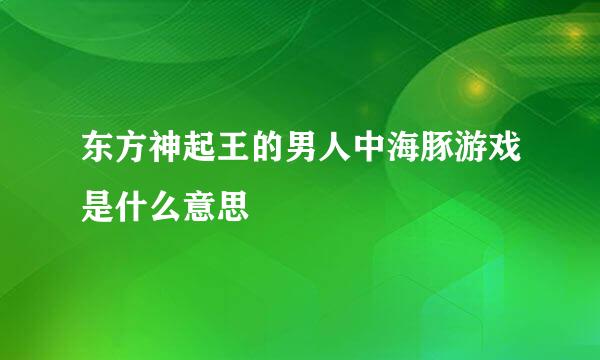 东方神起王的男人中海豚游戏是什么意思