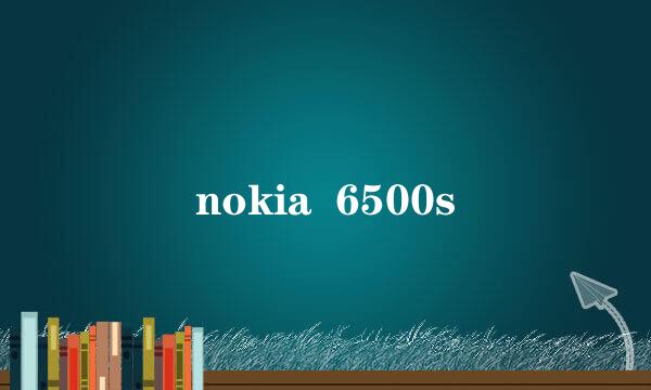 nokia  6500s