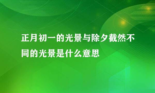 正月初一的光景与除夕截然不同的光景是什么意思