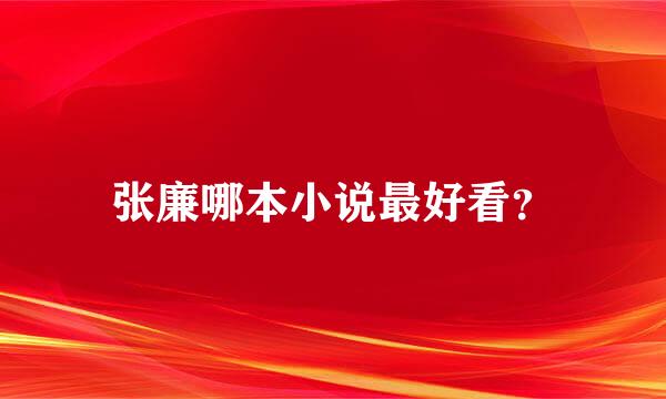 张廉哪本小说最好看？