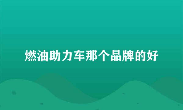 燃油助力车那个品牌的好