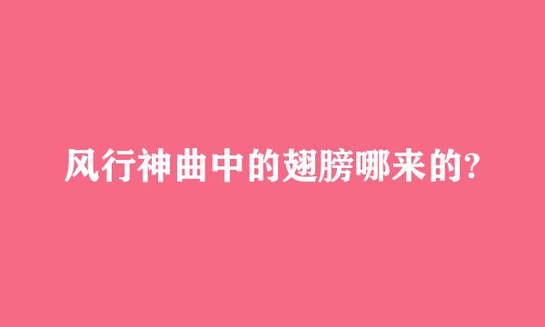 风行神曲中的翅膀哪来的?