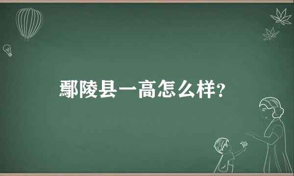 鄢陵县一高怎么样？