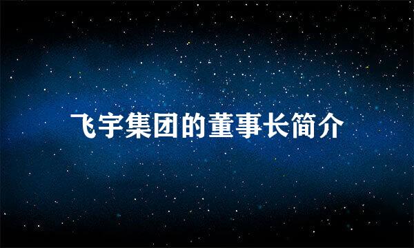 飞宇集团的董事长简介