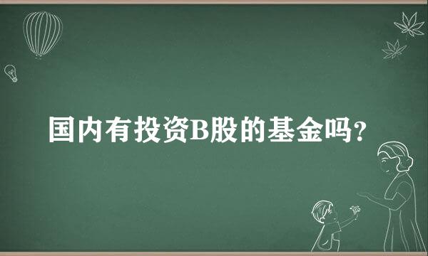 国内有投资B股的基金吗？