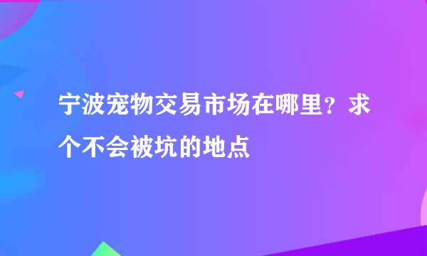 宁波宠物交易市场在哪里？求个不会被坑的地点