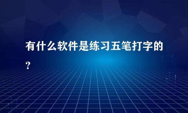 有什么软件是练习五笔打字的？