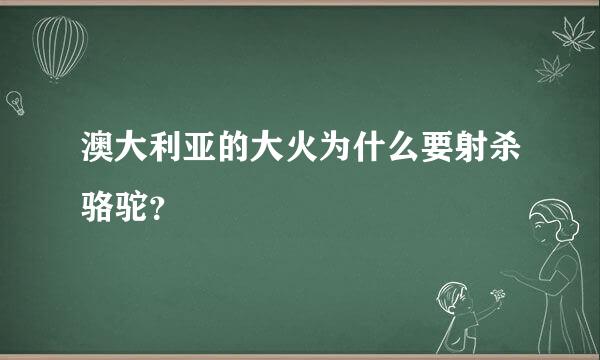 澳大利亚的大火为什么要射杀骆驼？