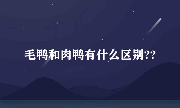 毛鸭和肉鸭有什么区别??