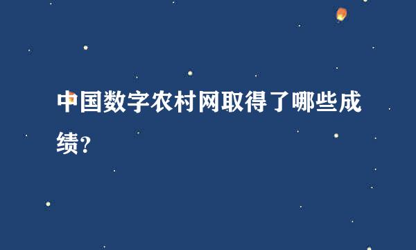 中国数字农村网取得了哪些成绩？