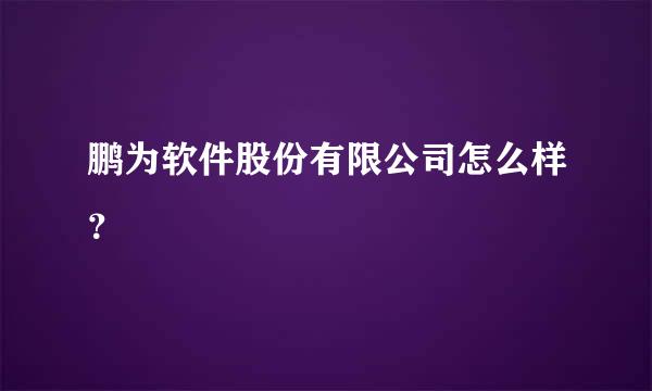 鹏为软件股份有限公司怎么样？