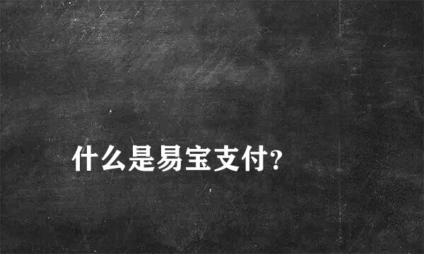 
什么是易宝支付？
