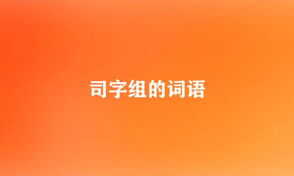 司字组的词语