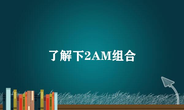 了解下2AM组合