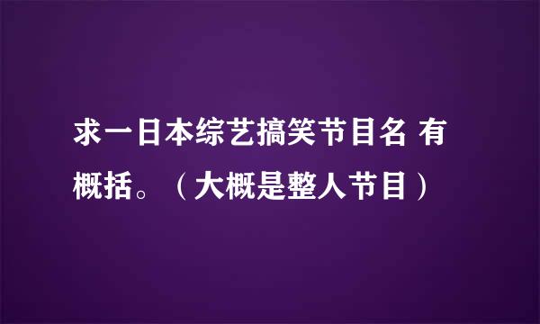 求一日本综艺搞笑节目名 有概括。（大概是整人节目）