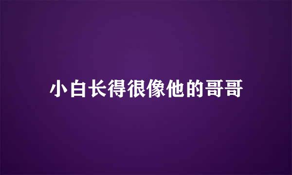 小白长得很像他的哥哥