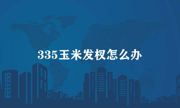 335玉米发杈怎么办