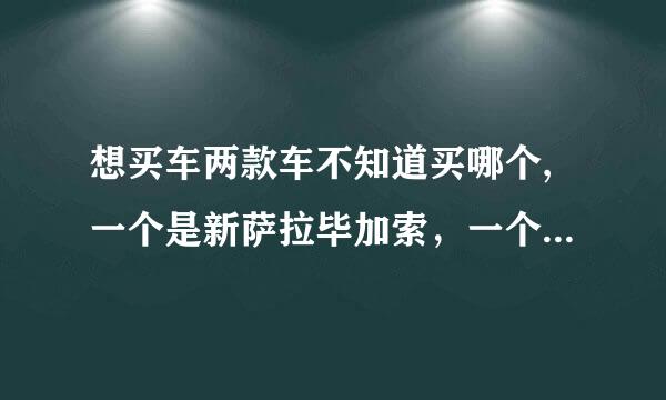 想买车两款车不知道买哪个,一个是新萨拉毕加索，一个是新宝来两箱。大家给个意见哪个安全系数更高更皮实。