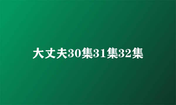 大丈夫30集31集32集