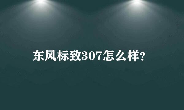 东风标致307怎么样？