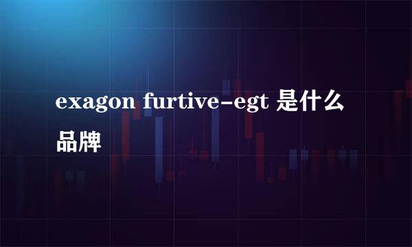 exagon furtive-egt 是什么品牌