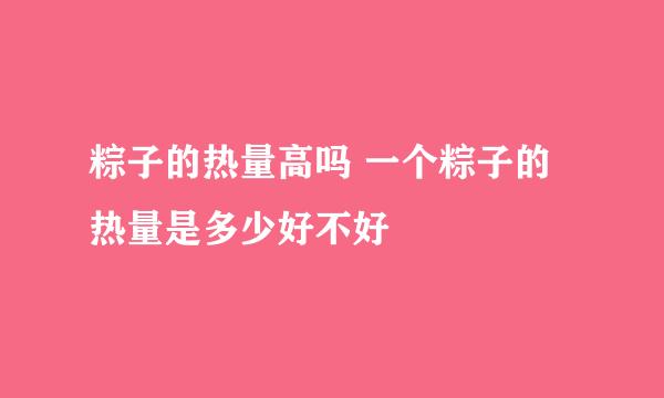 粽子的热量高吗 一个粽子的热量是多少好不好