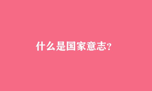 什么是国家意志？