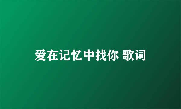 爱在记忆中找你 歌词