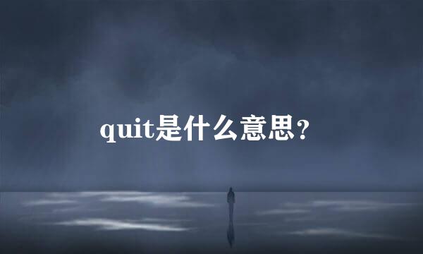 quit是什么意思？