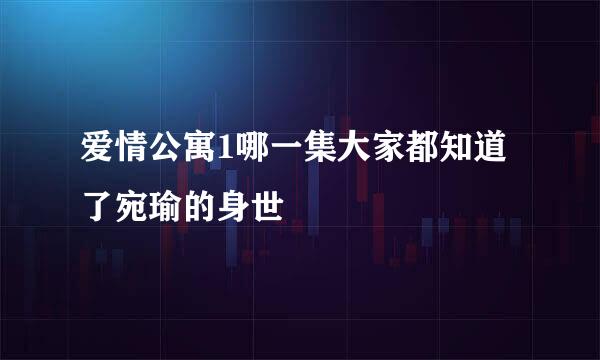 爱情公寓1哪一集大家都知道了宛瑜的身世