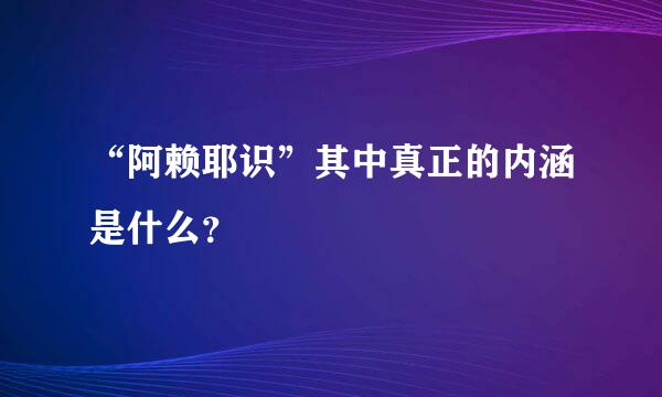 “阿赖耶识”其中真正的内涵是什么？