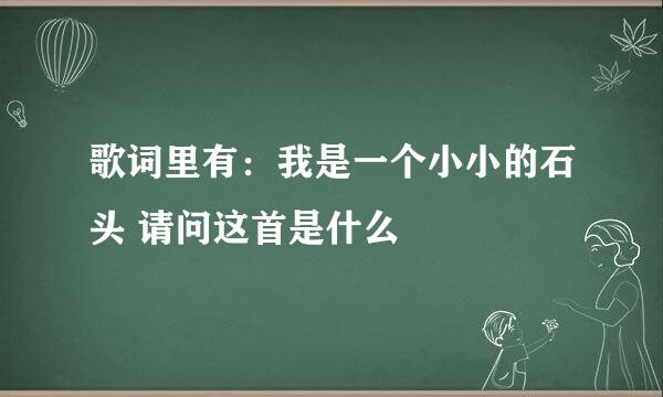 歌词里有：我是一个小小的石头 请问这首是什么