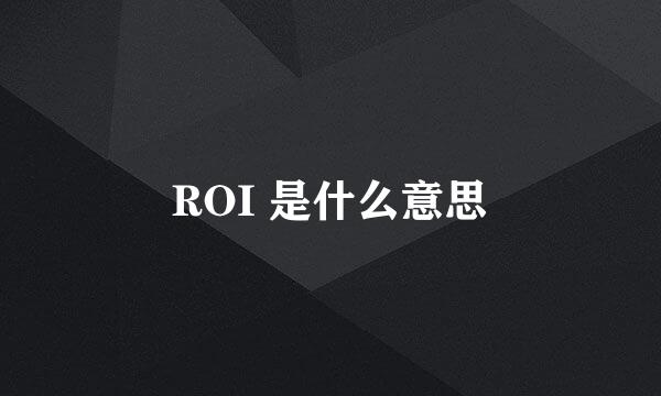 ROI 是什么意思