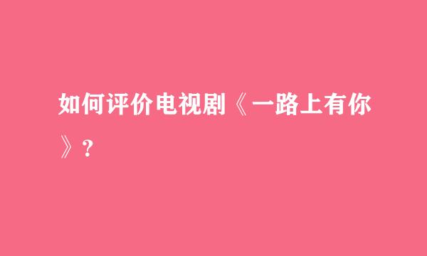 如何评价电视剧《一路上有你》？