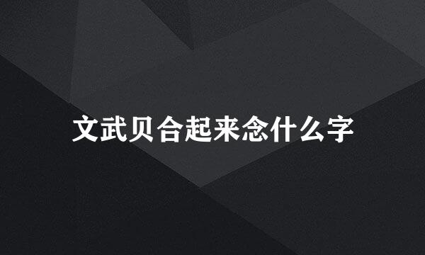 文武贝合起来念什么字