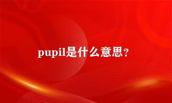 pupil是什么意思？