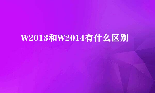 W2013和W2014有什么区别