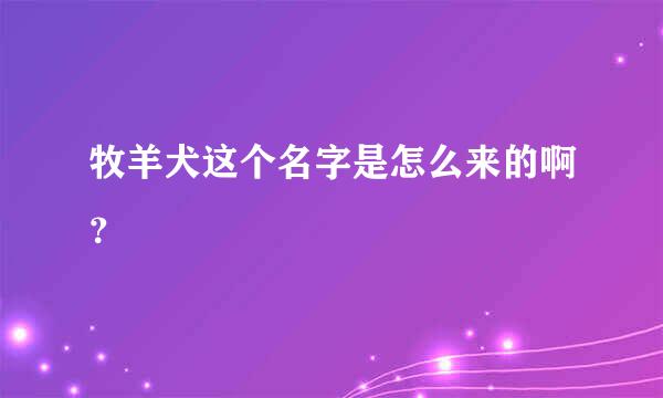 牧羊犬这个名字是怎么来的啊？