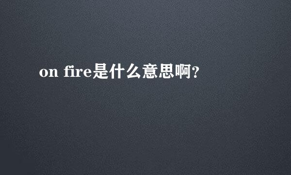on fire是什么意思啊？