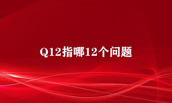 Q12指哪12个问题