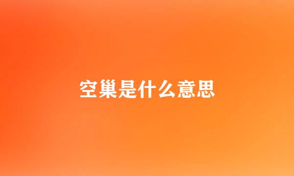 空巢是什么意思